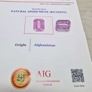 קונזייט ורוד ענק