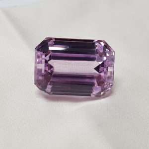 קונזייט ורוד ענק