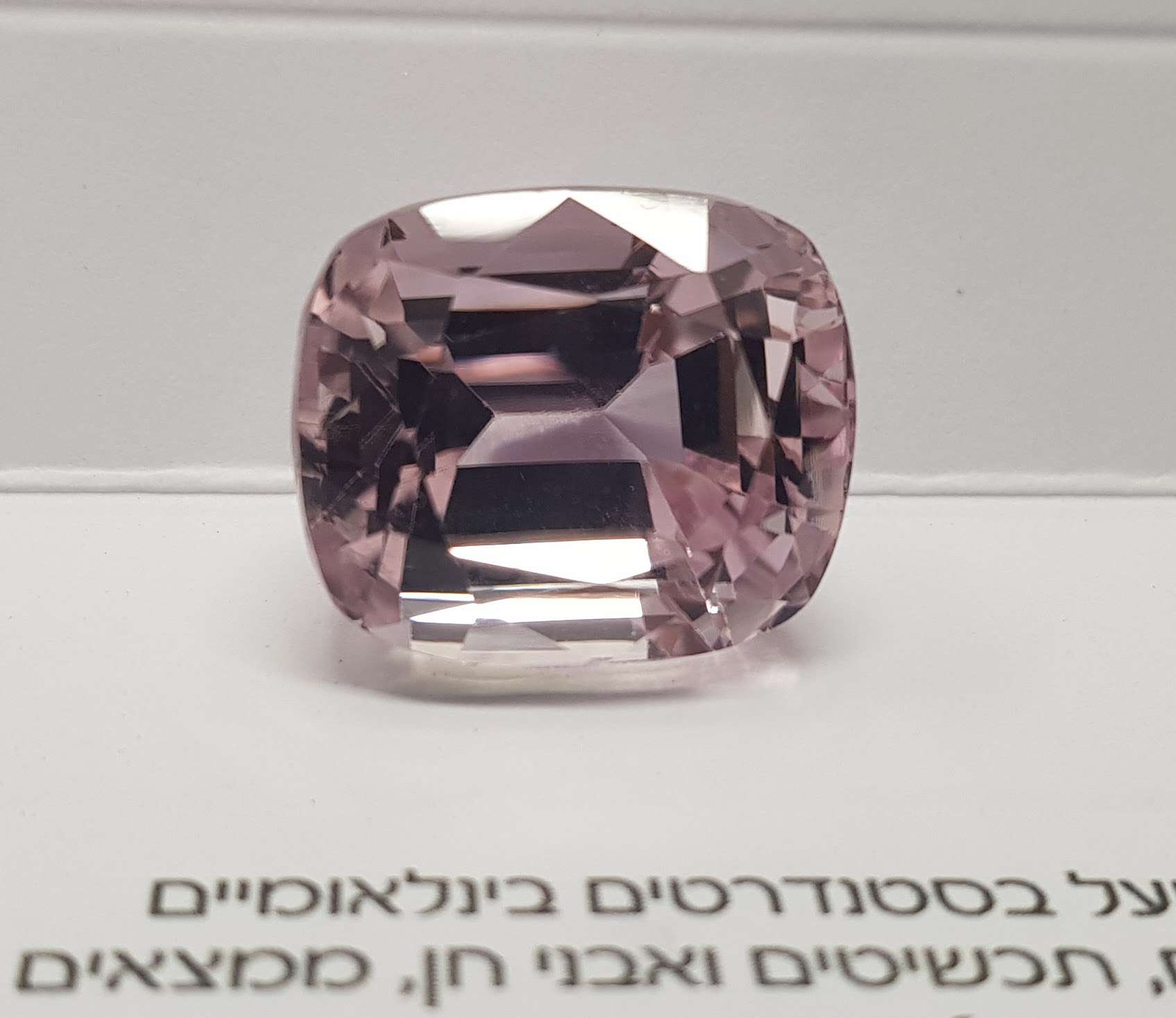 קונזייט טבעי ורוד ענק 2 – תמונה 4